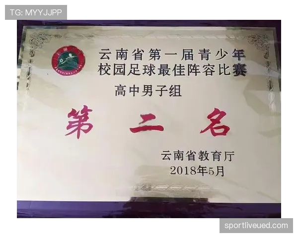 青少年足球规则中的主要判罚标准与比赛限制解析